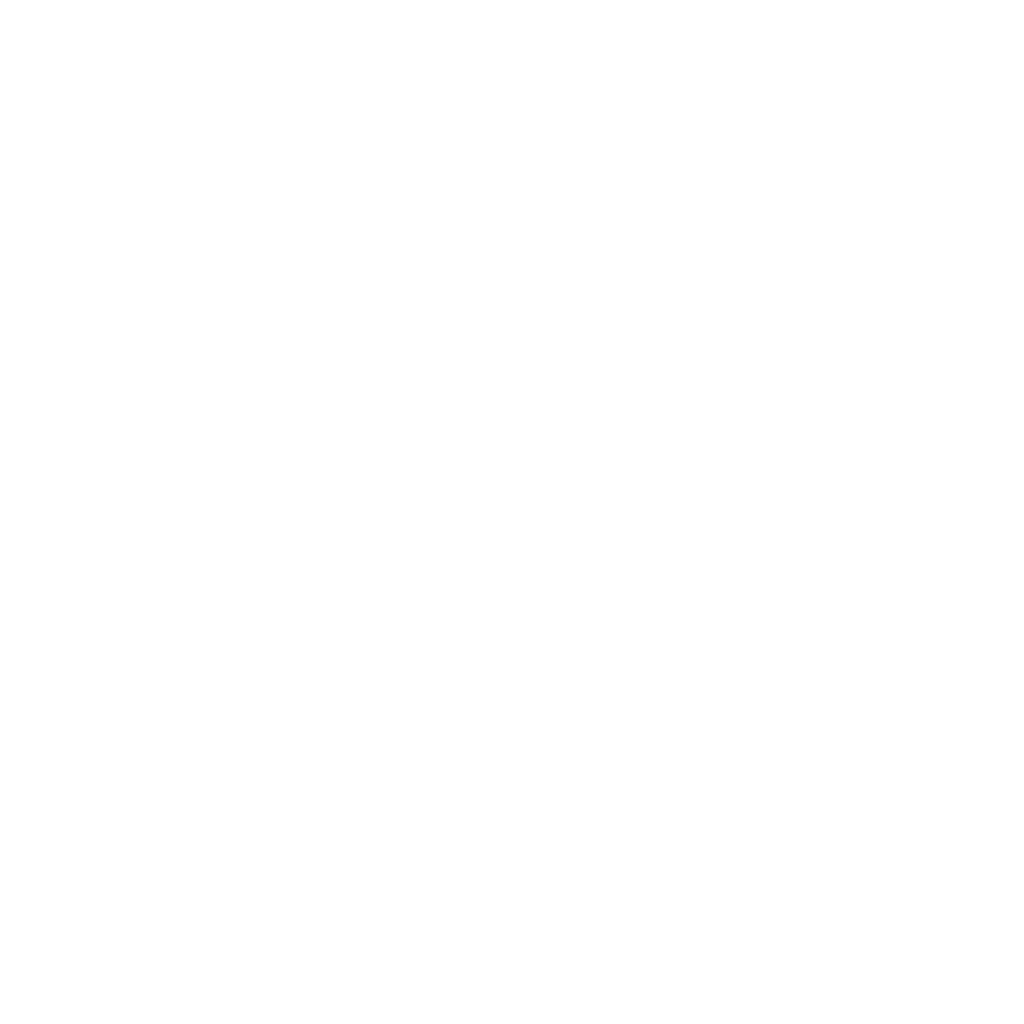 10 10
